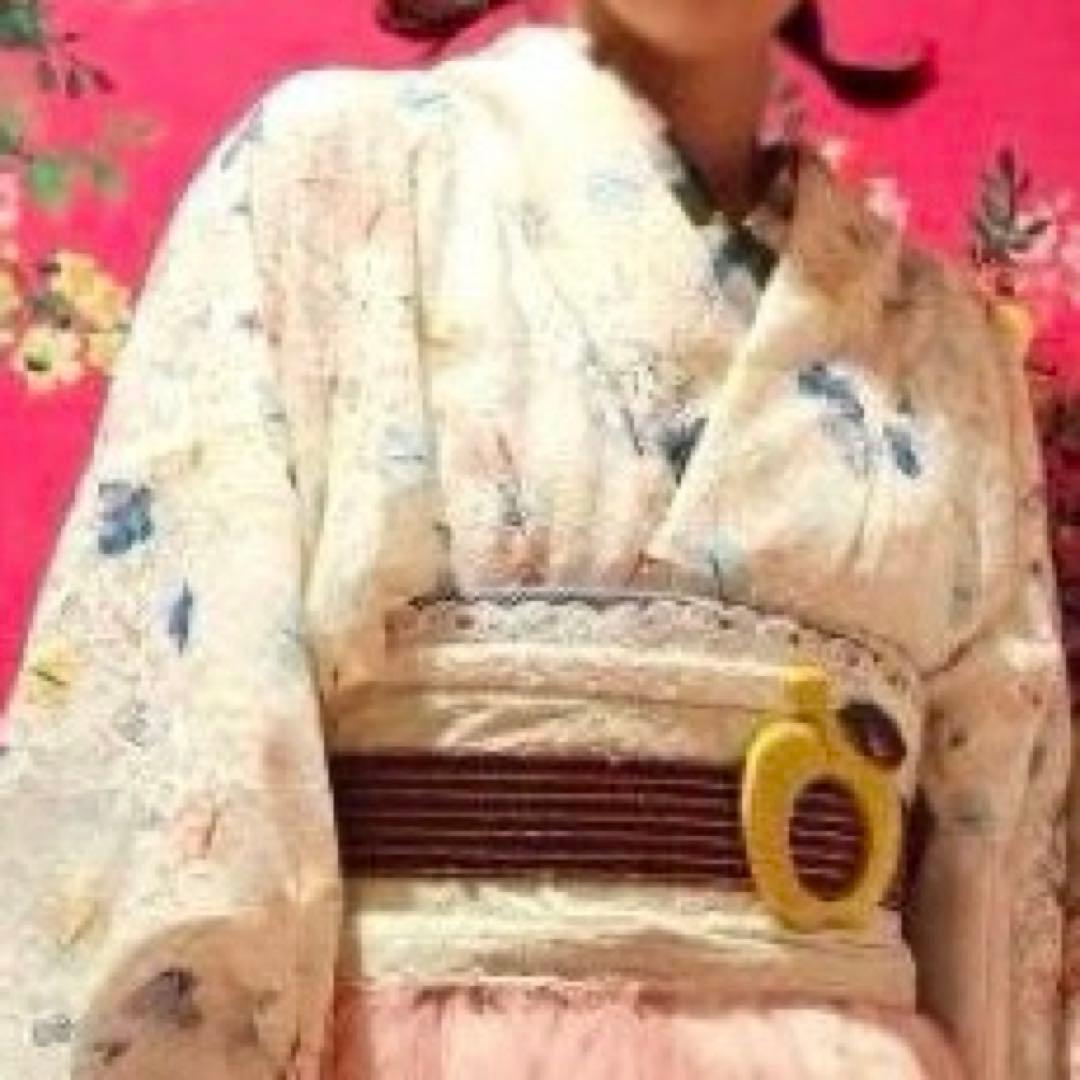 レース着物　振袖　小紋調　蝶々