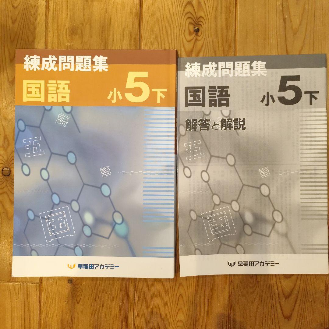 【国語】小5 早稲田アカデミー 予習シリーズ・演習問題・練成問題・漢字と言葉上下