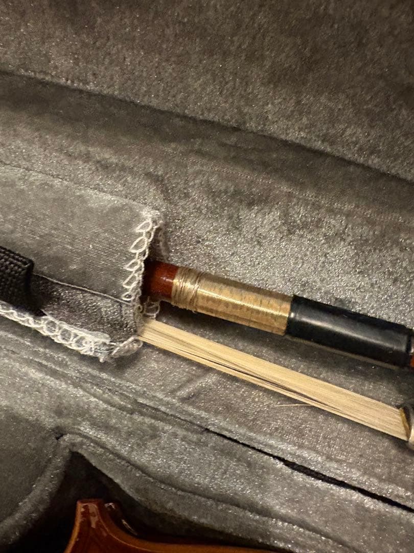 カルロジョルダーノ エレキバイオリン ケース弓付き　cv-210e 顎当てなし