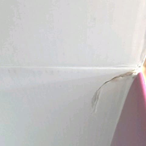 厳正評価世界のワイン : ワイン・バイヤーズ・ガイド 第４冊