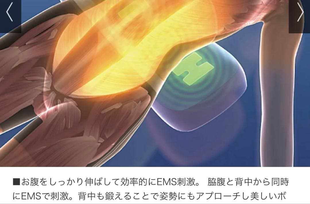 ディノス　ダイエット・健康リラクゼーショングッズ　色グレー