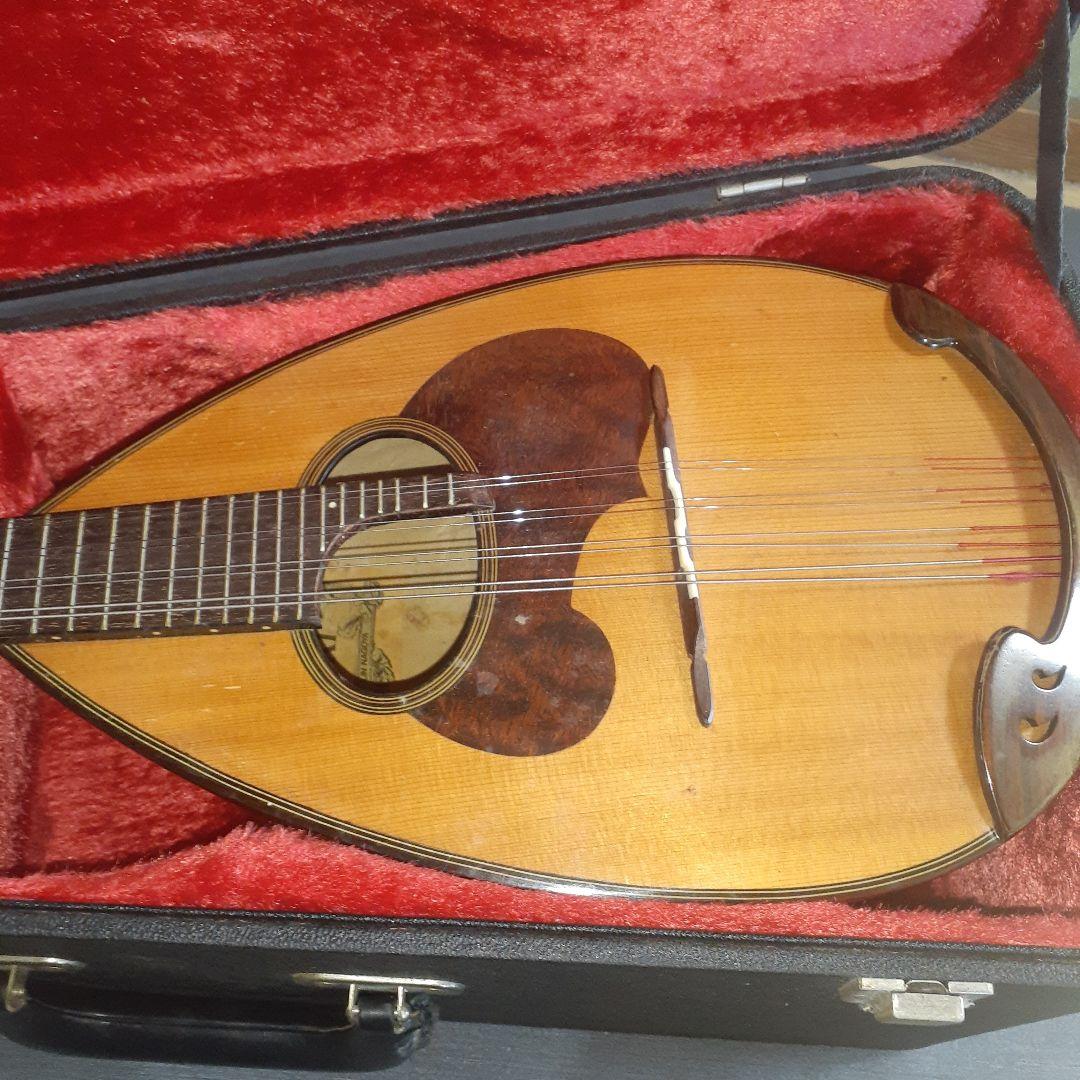 SUZUKI M-30 スズキ マンドリン 鈴木 ハードケース付 セット