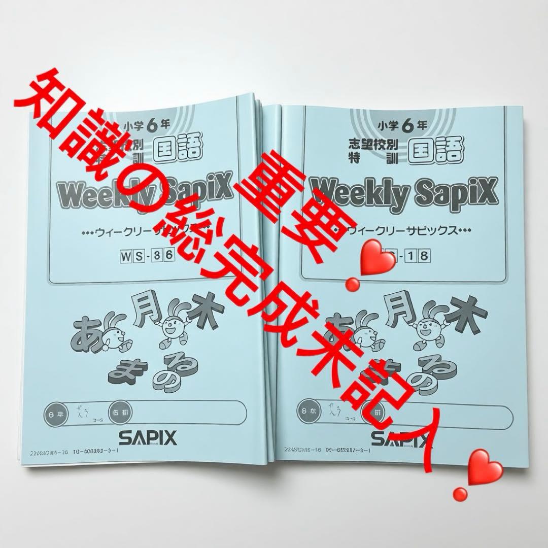 ㉔な　サピックス　SAPIX 6年ウィークリーサピックス　国語　知識の総完成