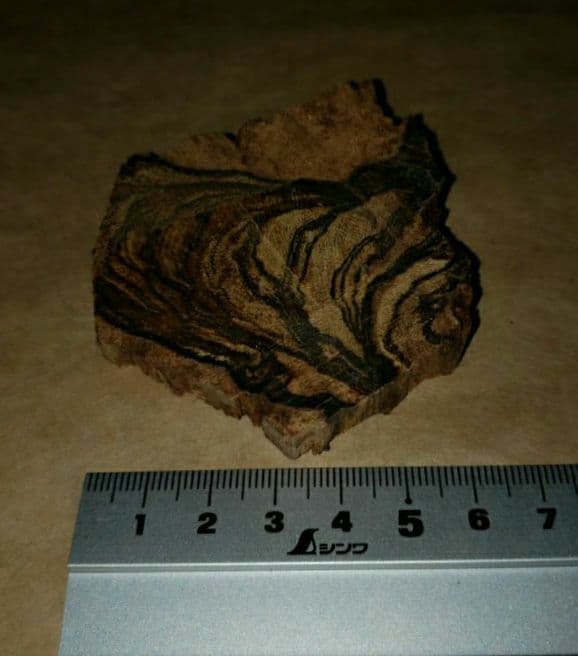 65 沈香、伽羅、六国五味、聞香、香木「天然カンボジア産黄熟香39.5ｇ」