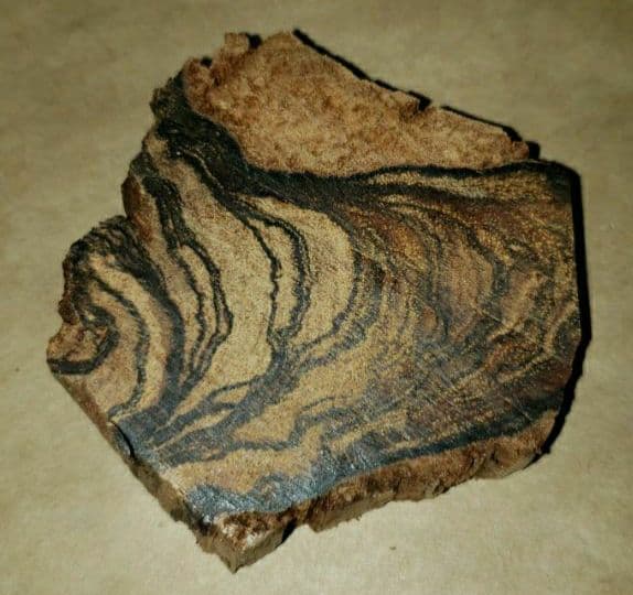 65 沈香、伽羅、六国五味、聞香、香木「天然カンボジア産黄熟香39.5ｇ」