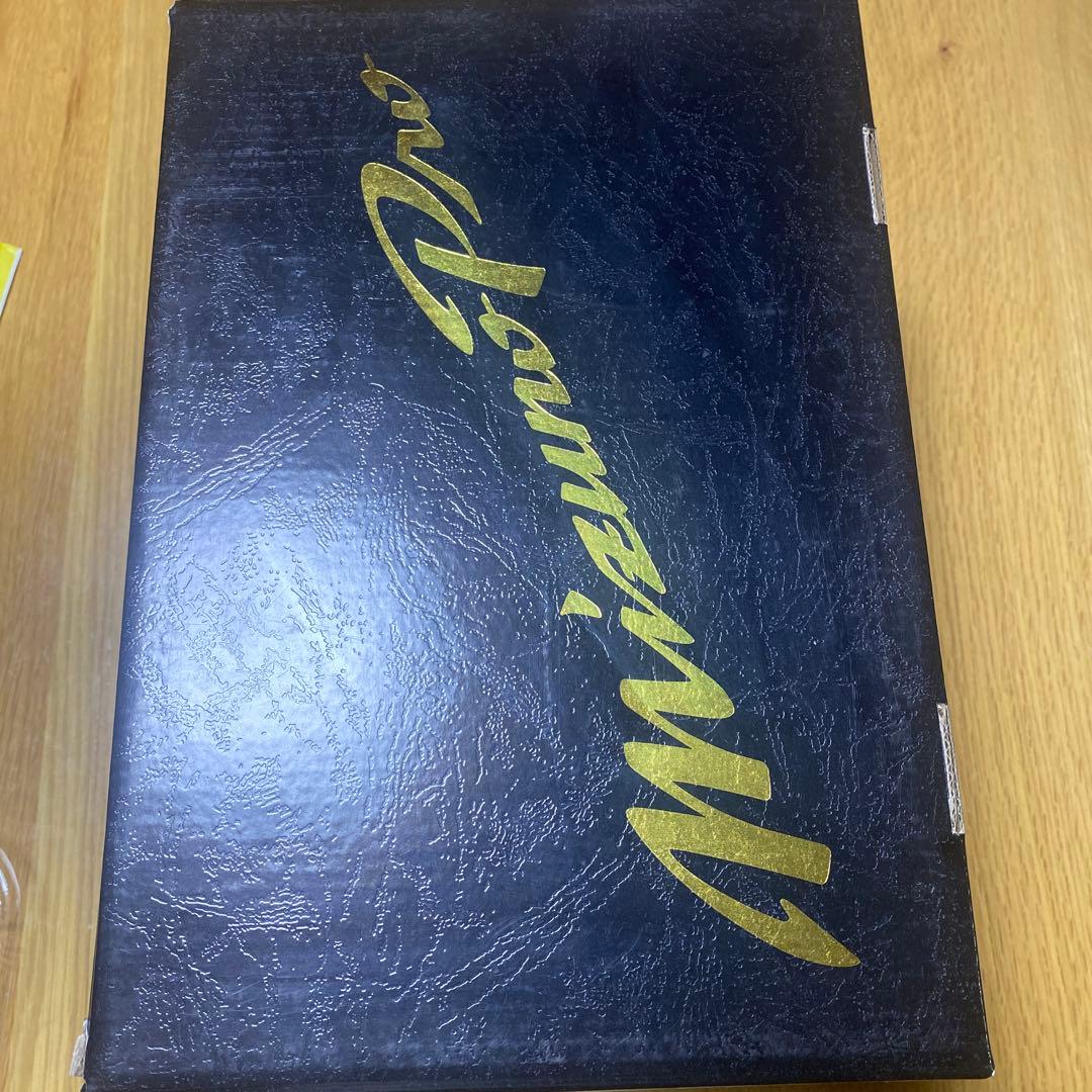 ミズノプロ 硬式グローブ 野球