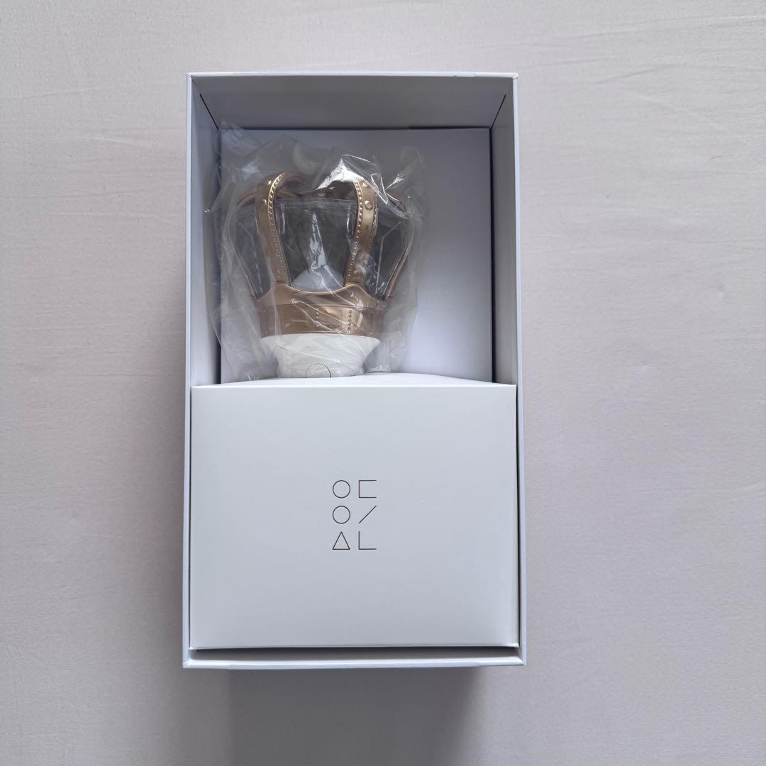 LOONA ペンライト ケース セット