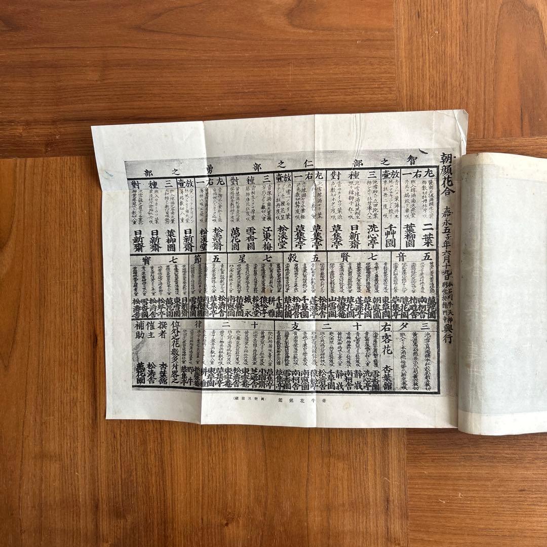 朝顔図説と培養法　変化朝顔