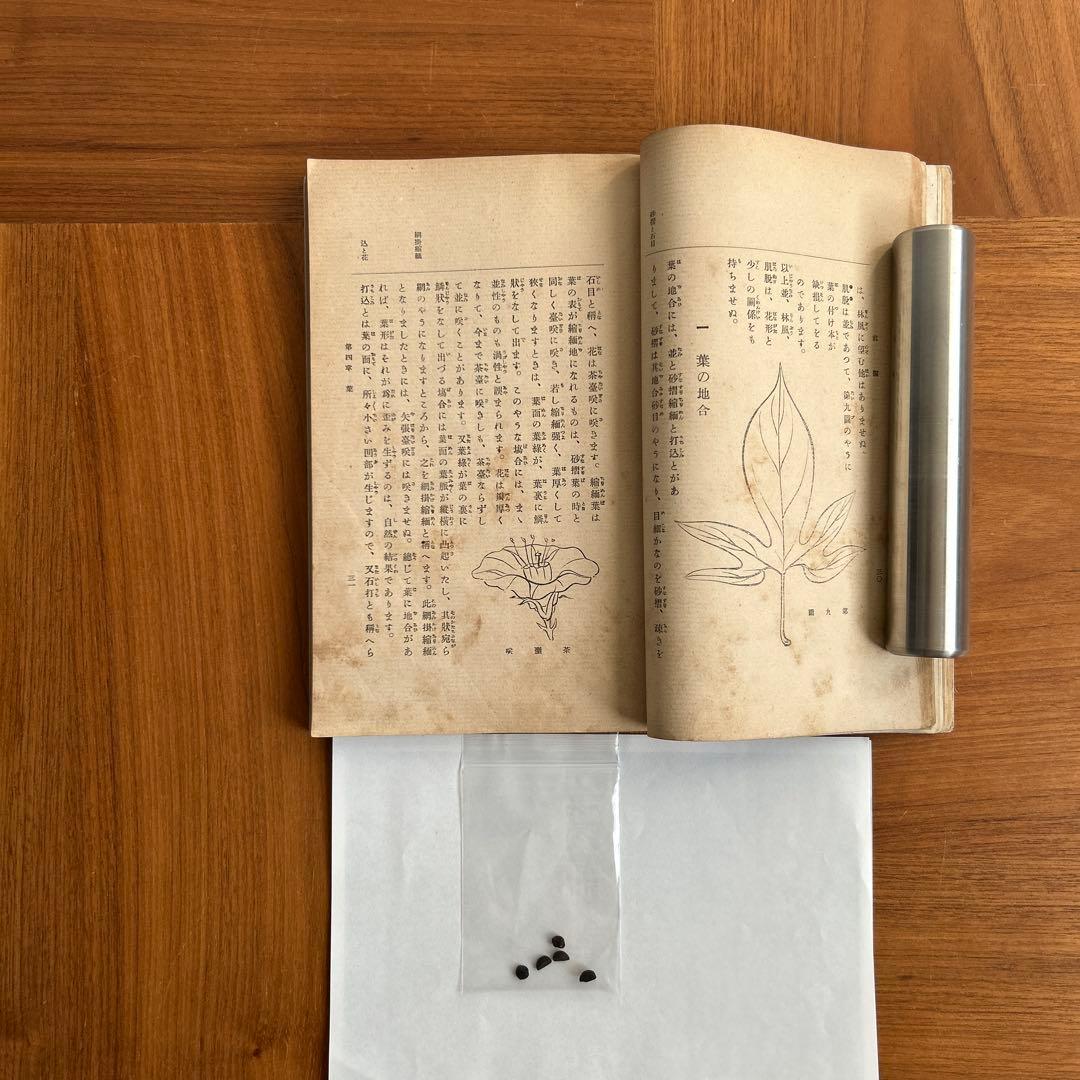 朝顔図説と培養法　変化朝顔