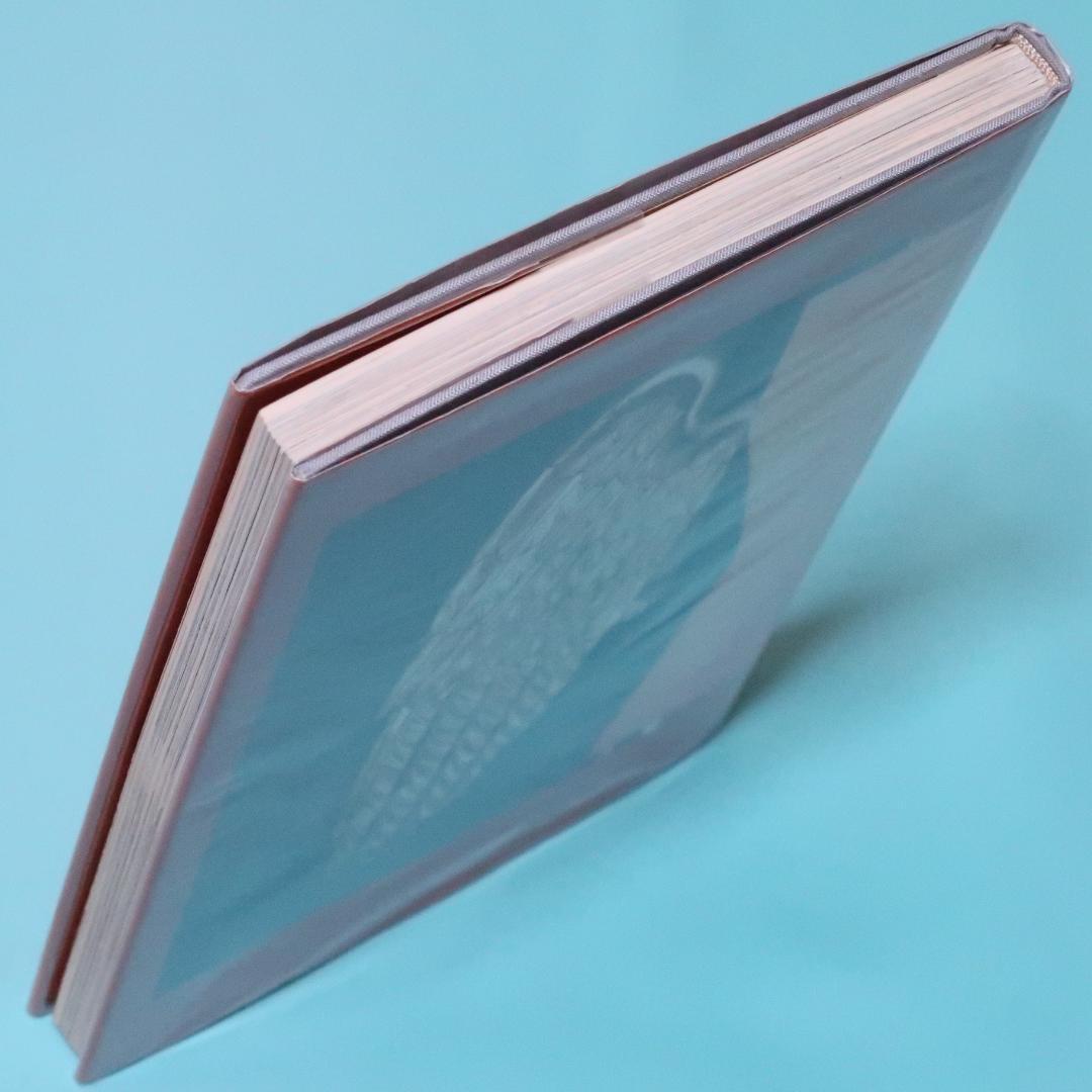 セール！ 希少本　洋書『ポール・アルバート・ライトナー 写真集』（芸術と人生）