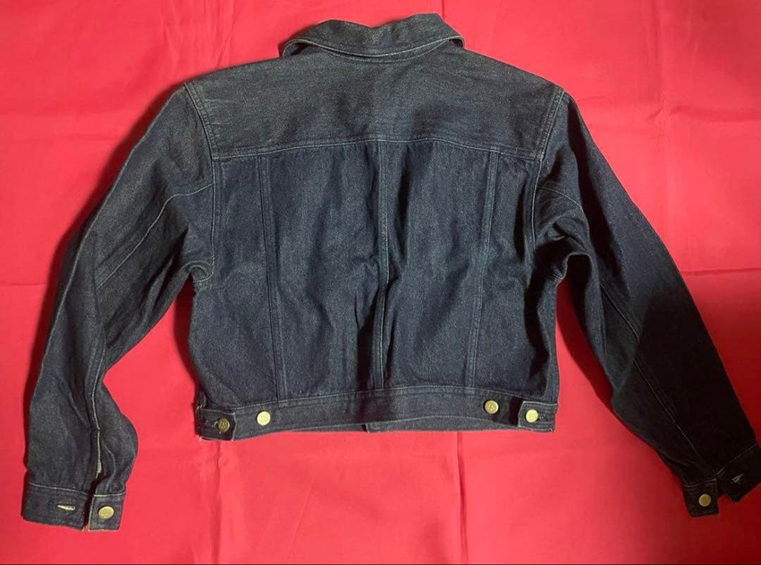 I.S. イッセイミヤケ　イッセイスポーツ ショート丈 デニム　Gジャン