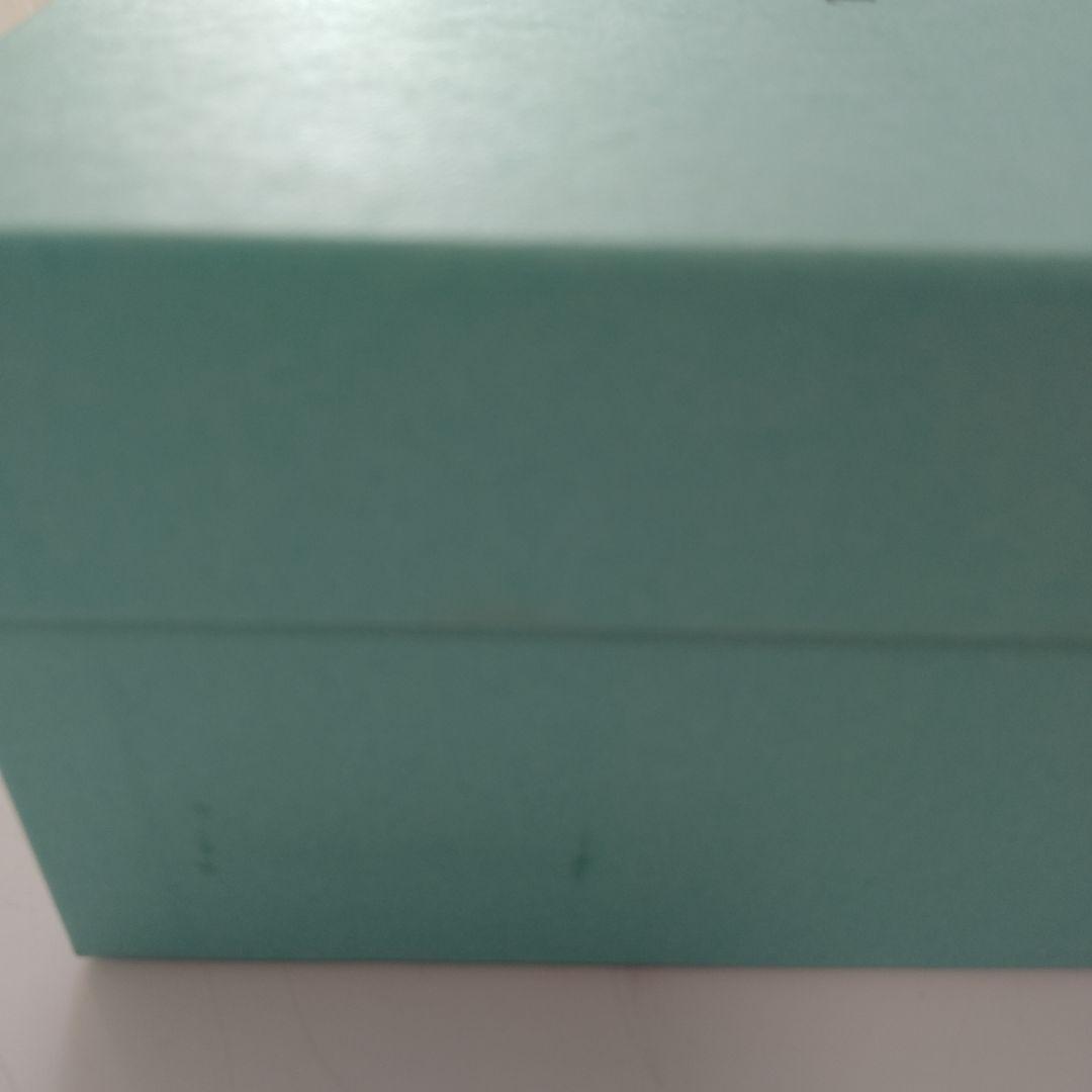 新品未使用 箱付 ティファニー ブルーボックス ボウル 2個セット