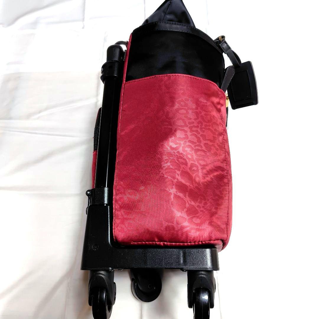 SWANY キャリーバッグ【取扱説明書付き】