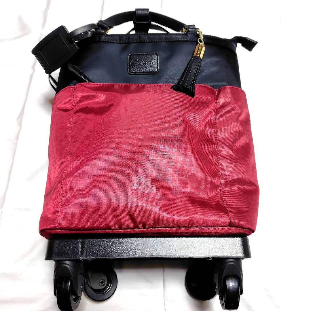 SWANY キャリーバッグ【取扱説明書付き】