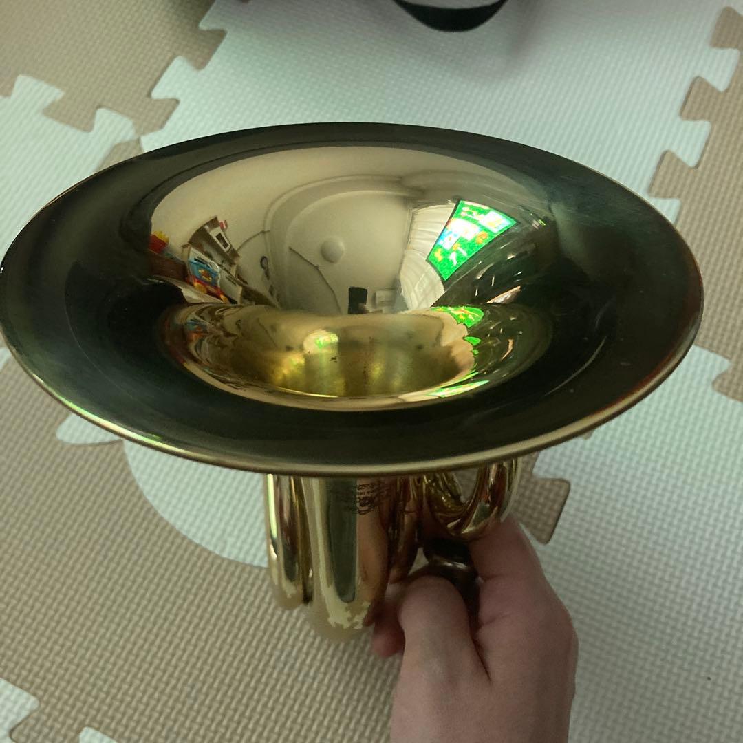 最終値下げ！！今週末で削除予定。ポケットホルン