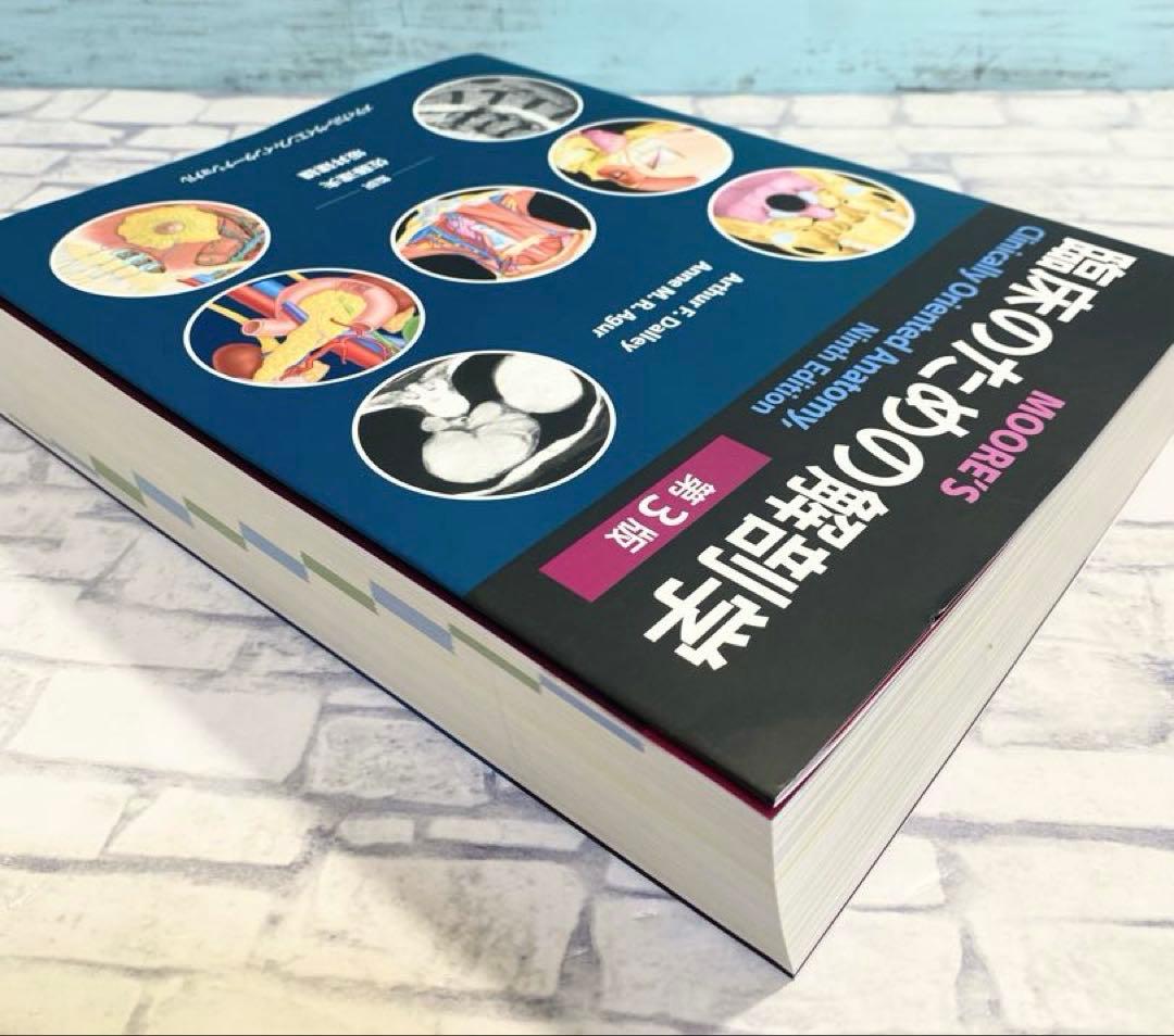 【綺麗商品】 臨床のための解剖学