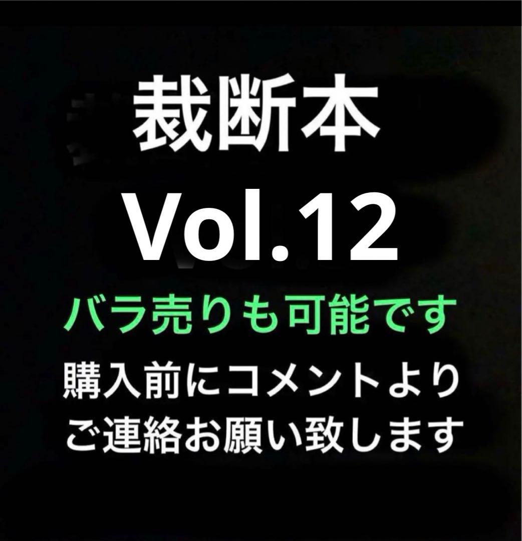 裁断済み　マンガ　Vol.12