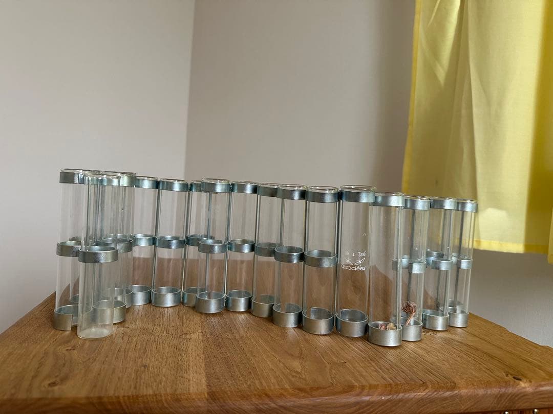 Tsé & Tsé Associées ツェツェ　試験管　フラワーベースセット