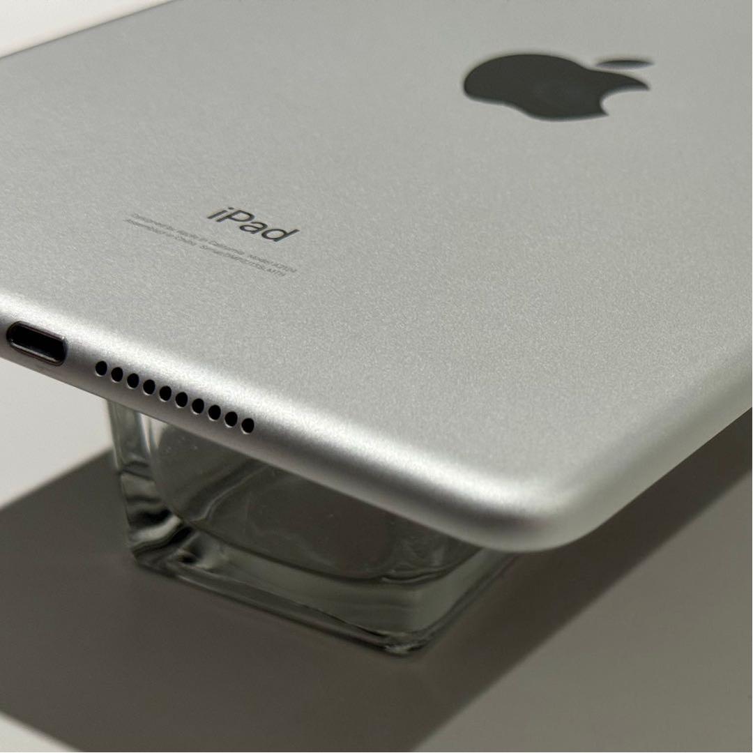 ★美品★iPad mini5 WiFi+Cellular 256GB BT89％