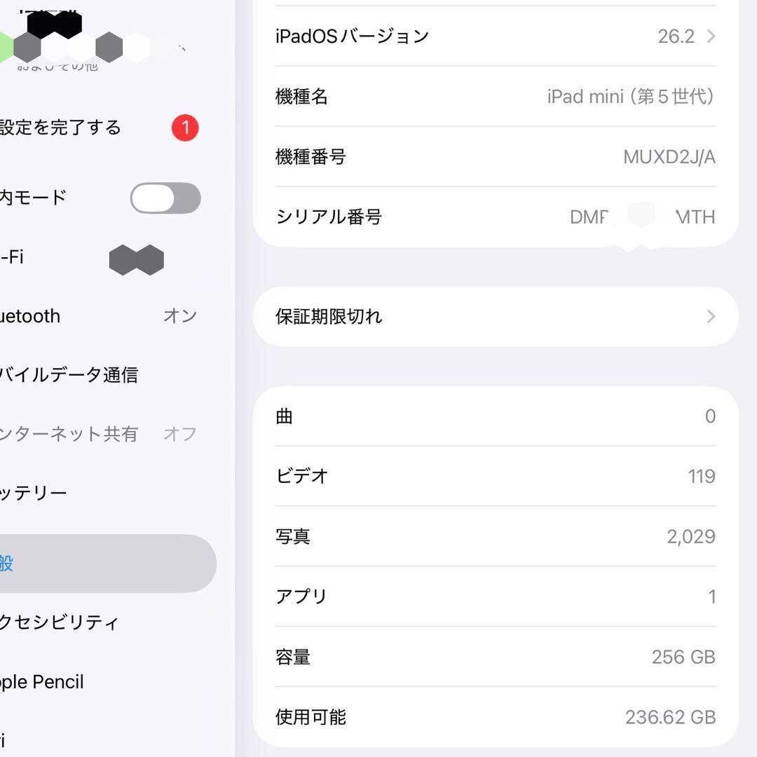 ★美品★iPad mini5 WiFi+Cellular 256GB BT89％