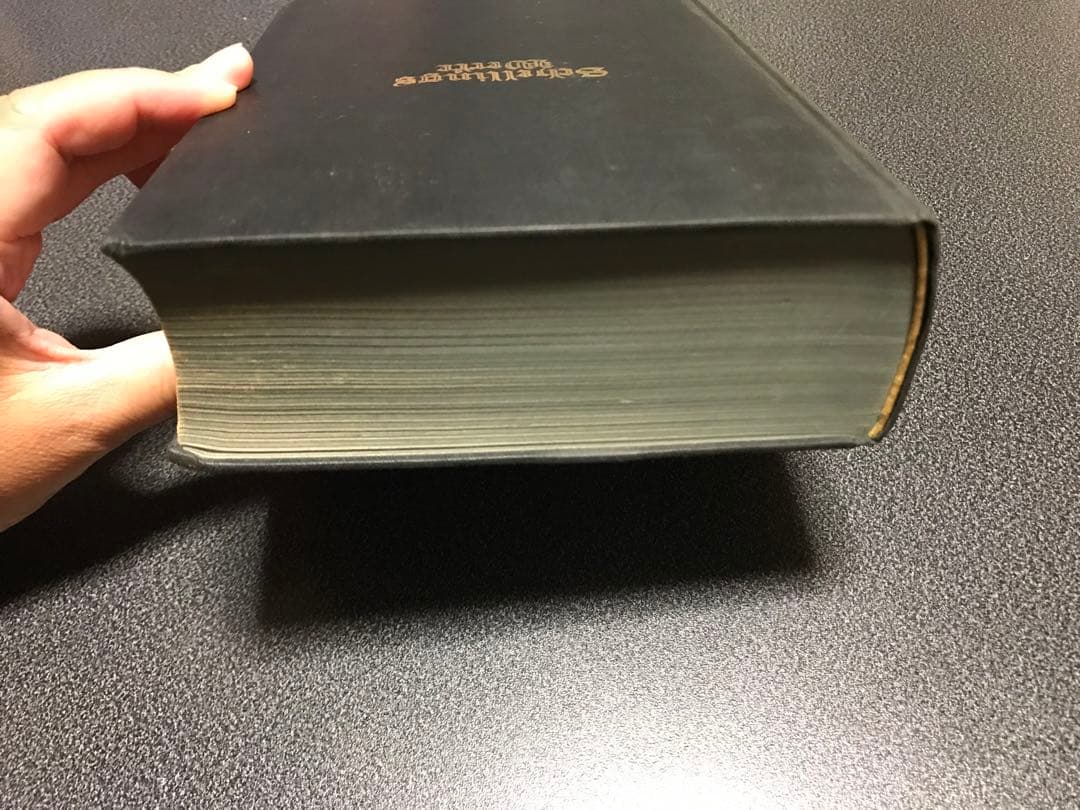 超レア洋書Schellings Werke. Nach der Original