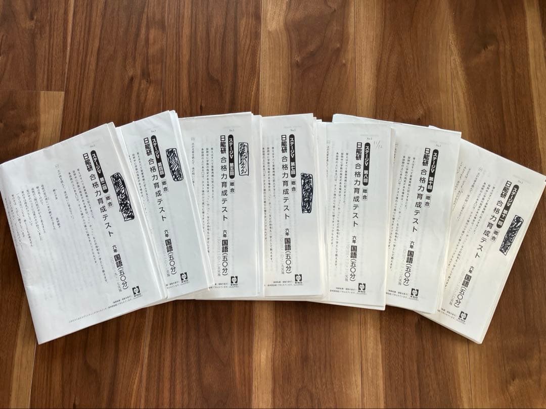 日能研⭐︎2023年 6年生 育成テスト公開模試 1年分 春期夏期講習テスト