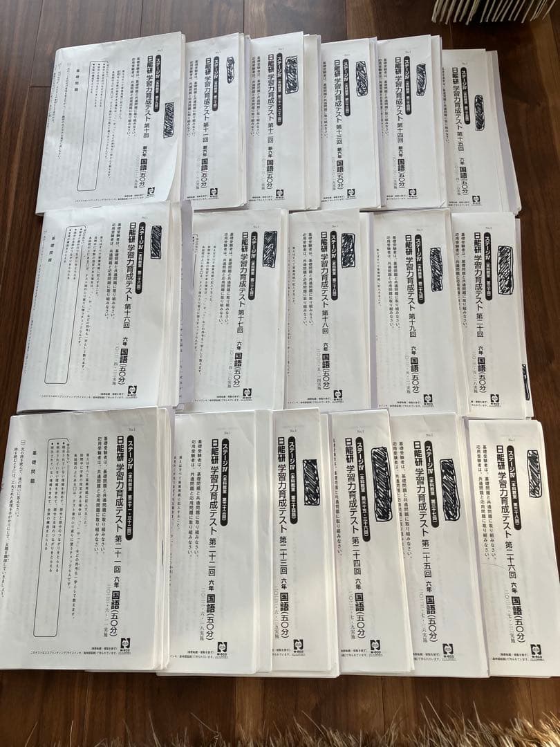 日能研⭐︎2023年 6年生 育成テスト公開模試 1年分 春期夏期講習テスト