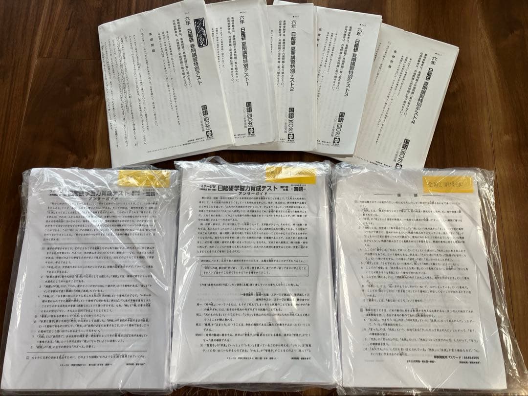 日能研⭐︎2023年 6年生 育成テスト公開模試 1年分 春期夏期講習テスト