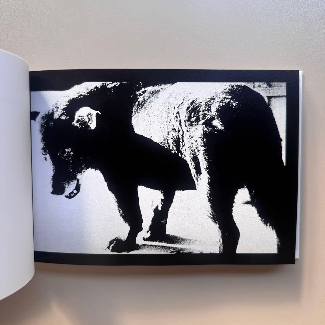 (サイン入) Daido Slide Daido Moriyama