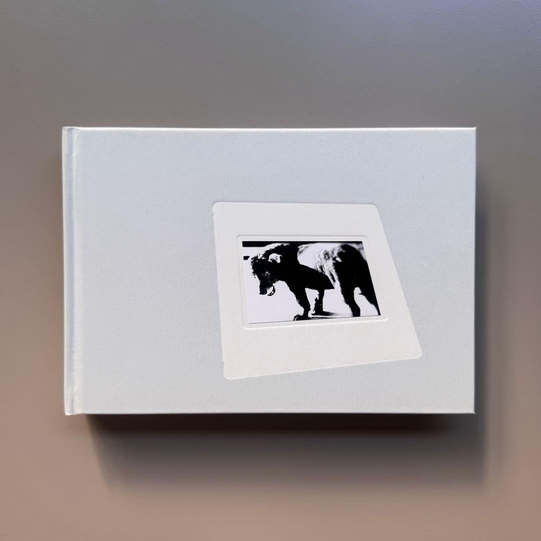 (サイン入) Daido Slide Daido Moriyama