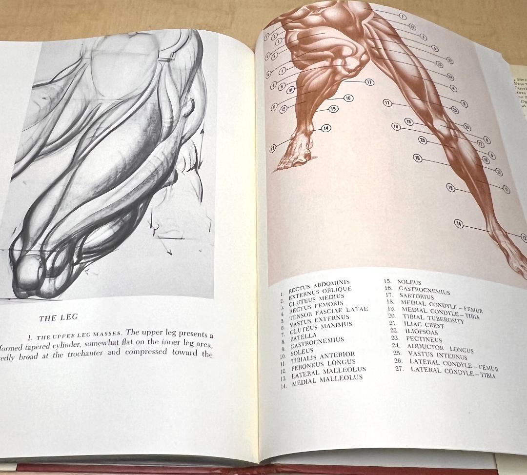 1958年初版 Dynamic Anatomy by HogarthBurne