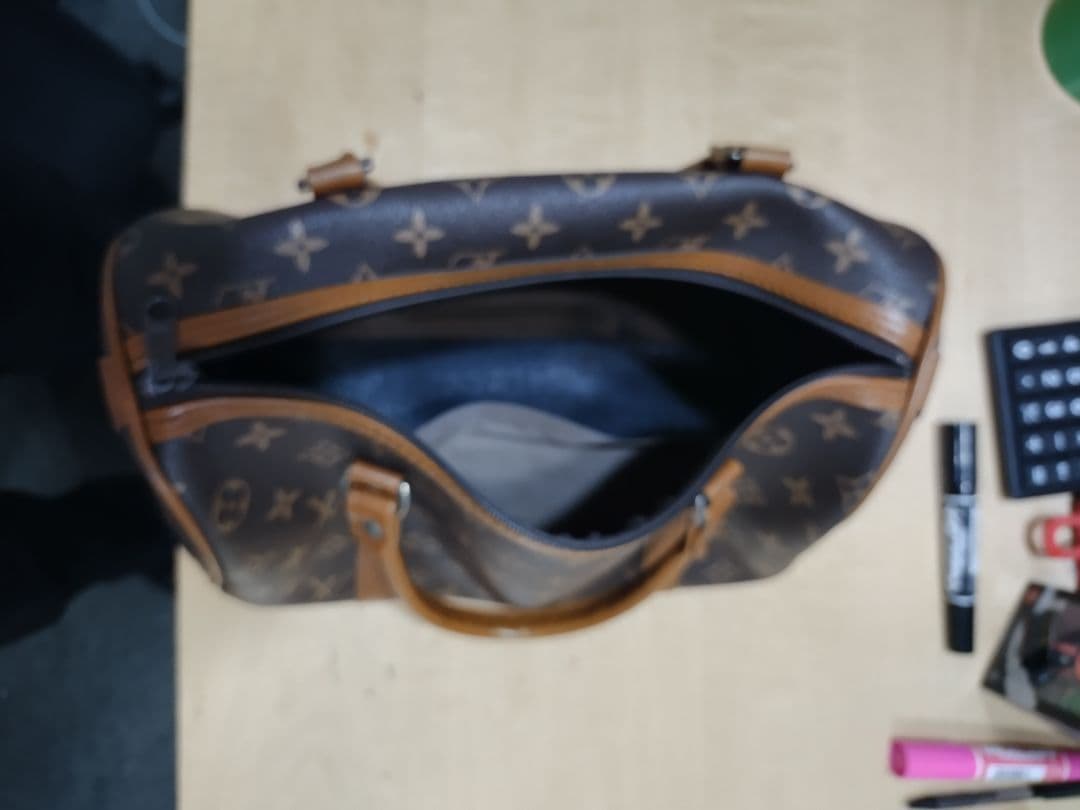 ルイ・ヴィトンシティバッグ ナチュラル・ヒストリー