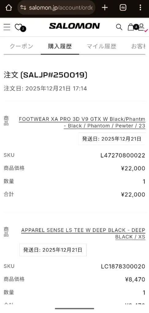 SALOMON XA PRO 3D V9 GTX W 23センチ