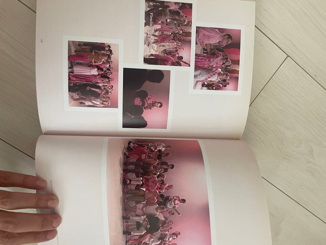 洋書 Pink / HATJE CANTZ