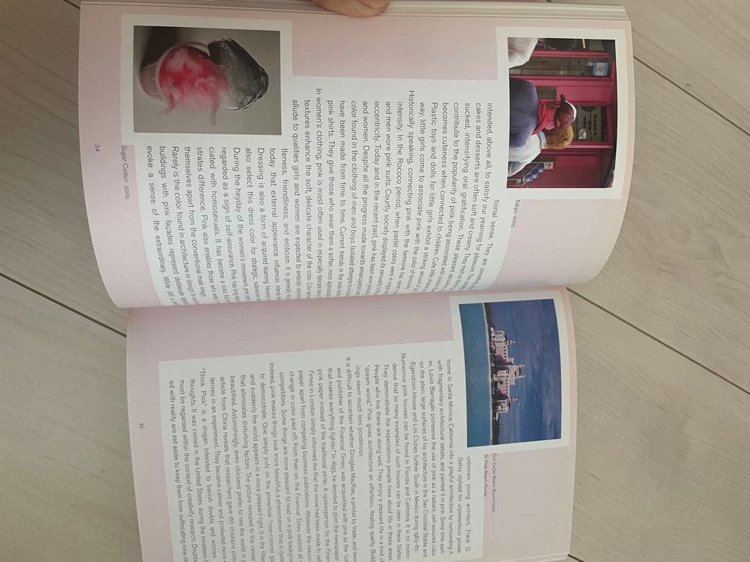 洋書 Pink / HATJE CANTZ