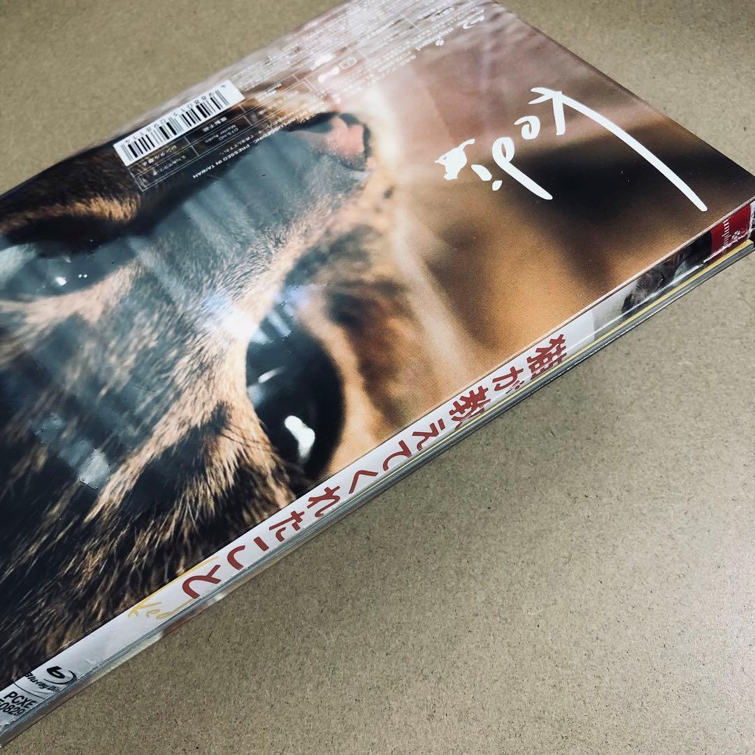 【廃盤】『猫が教えてくれたこと』 Blu-ray