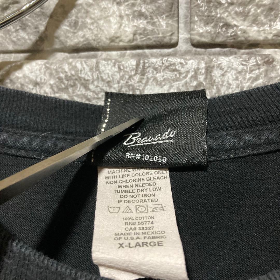 希少 HARLEY DAVIDSON ロンT ハーレーダビッドソン flame