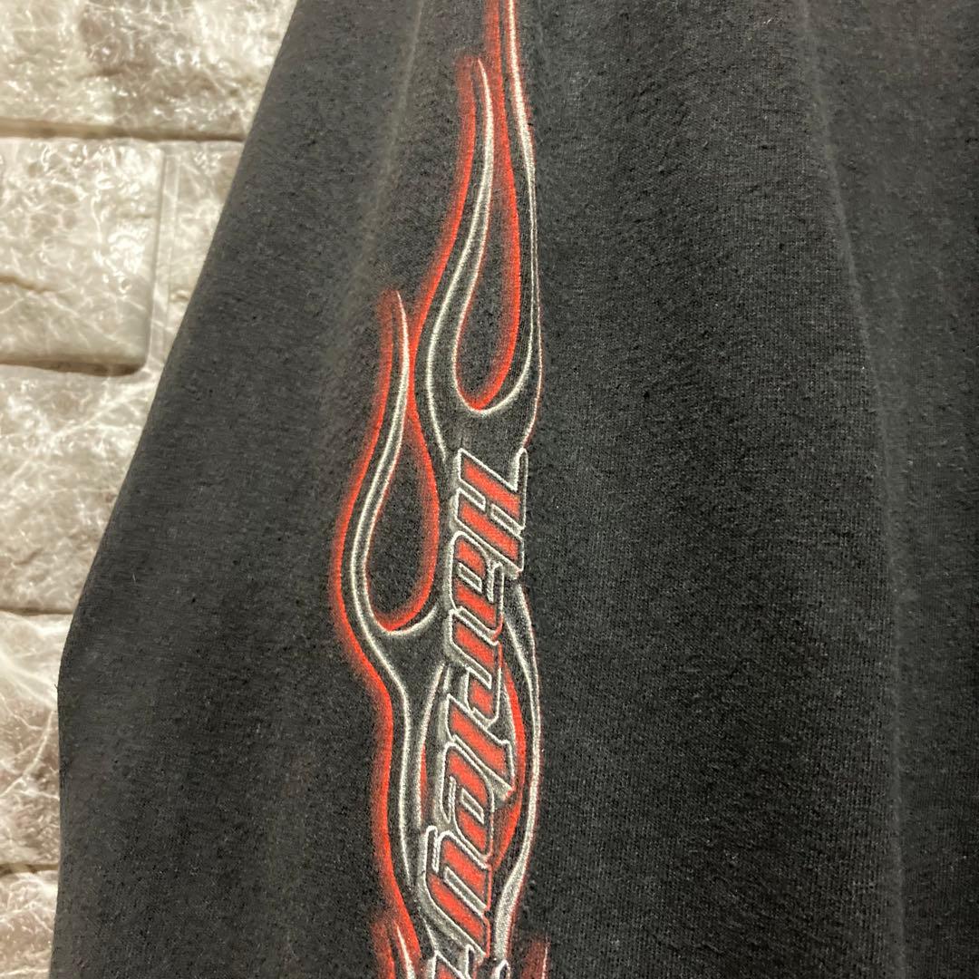 希少 HARLEY DAVIDSON ロンT ハーレーダビッドソン flame