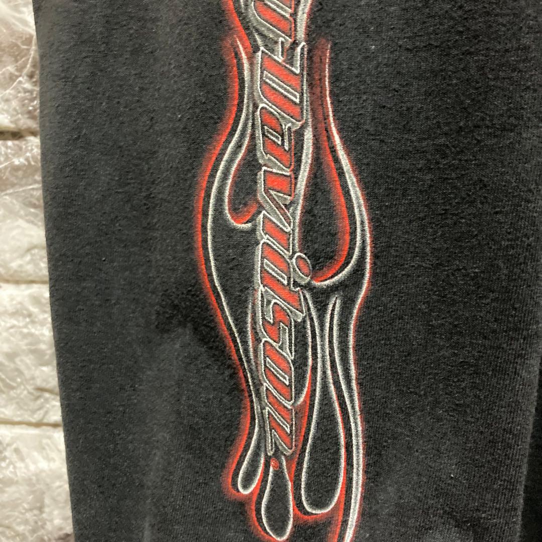 希少 HARLEY DAVIDSON ロンT ハーレーダビッドソン flame