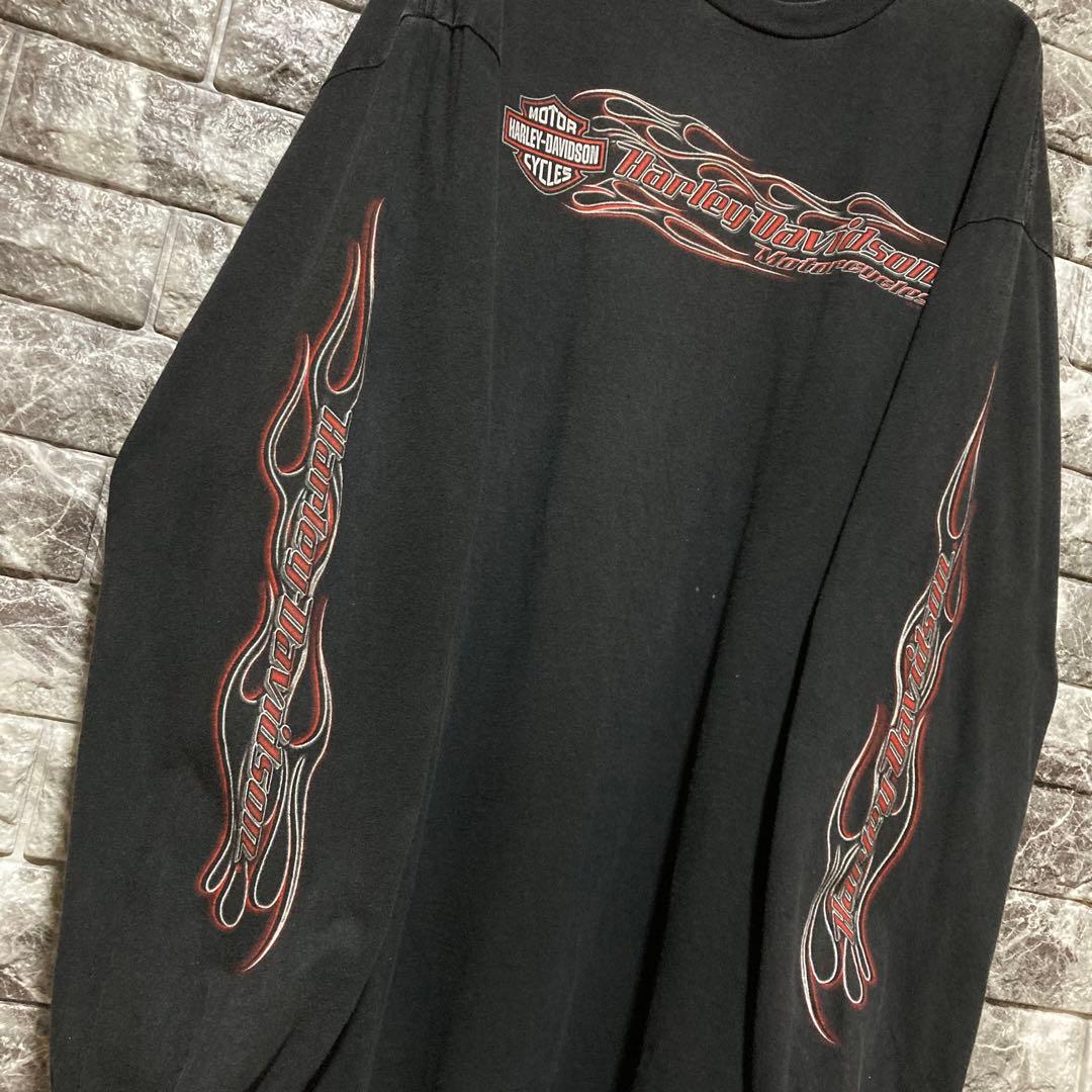 希少 HARLEY DAVIDSON ロンT ハーレーダビッドソン flame