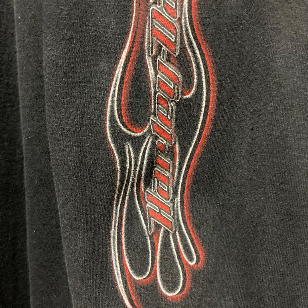 希少 HARLEY DAVIDSON ロンT ハーレーダビッドソン flame