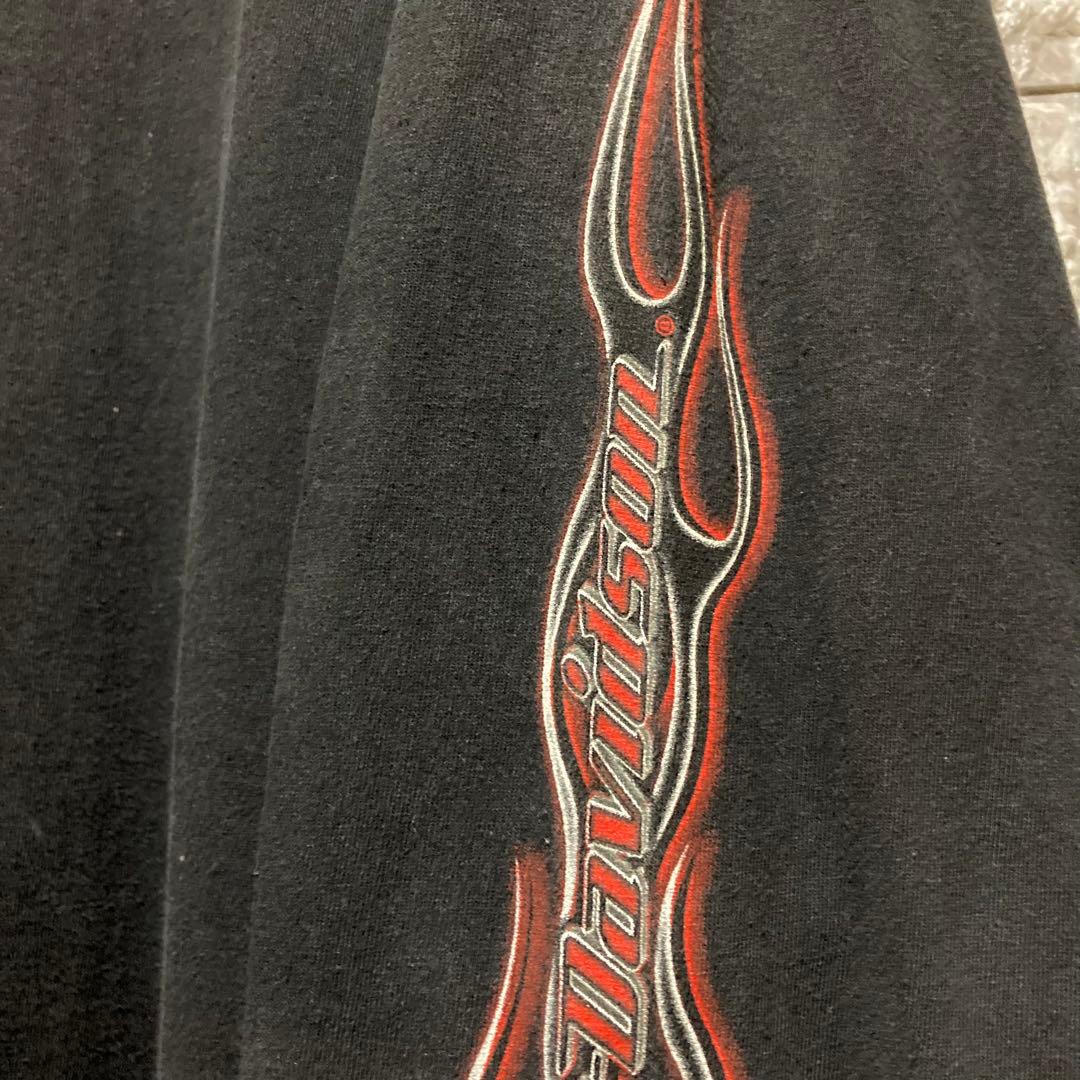 希少 HARLEY DAVIDSON ロンT ハーレーダビッドソン flame