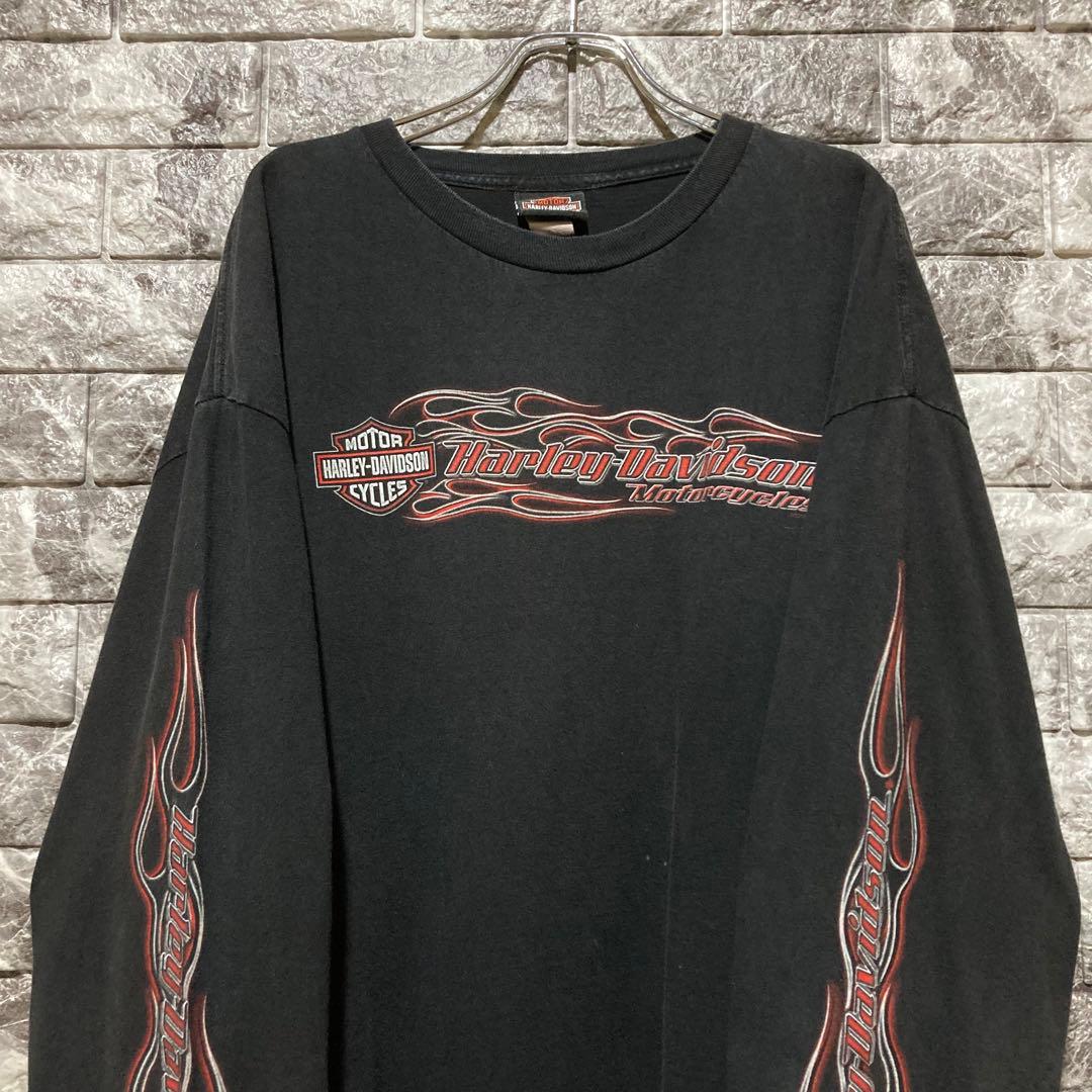 希少 HARLEY DAVIDSON ロンT ハーレーダビッドソン flame