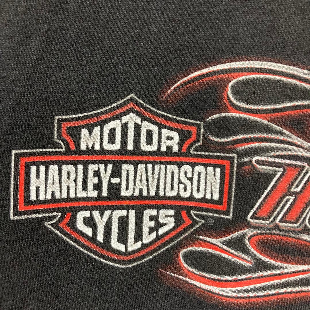 希少 HARLEY DAVIDSON ロンT ハーレーダビッドソン flame