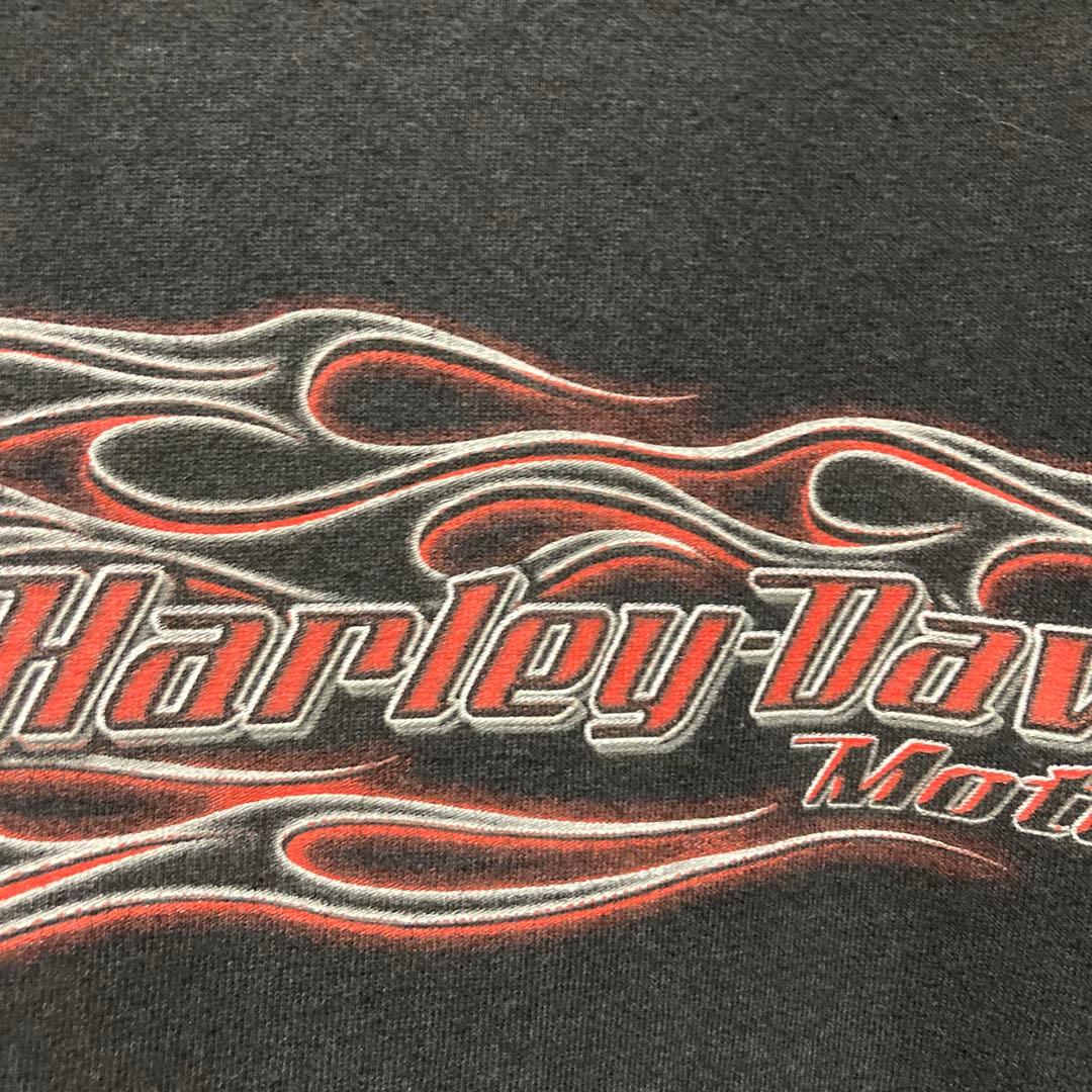 希少 HARLEY DAVIDSON ロンT ハーレーダビッドソン flame
