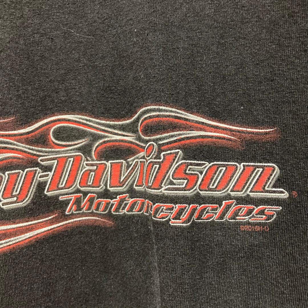 希少 HARLEY DAVIDSON ロンT ハーレーダビッドソン flame