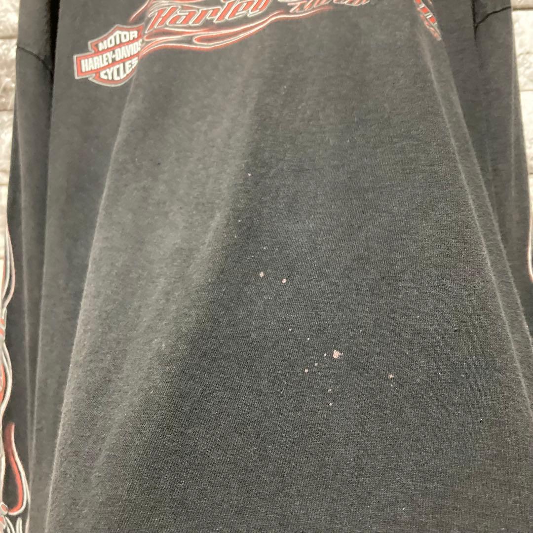 希少 HARLEY DAVIDSON ロンT ハーレーダビッドソン flame