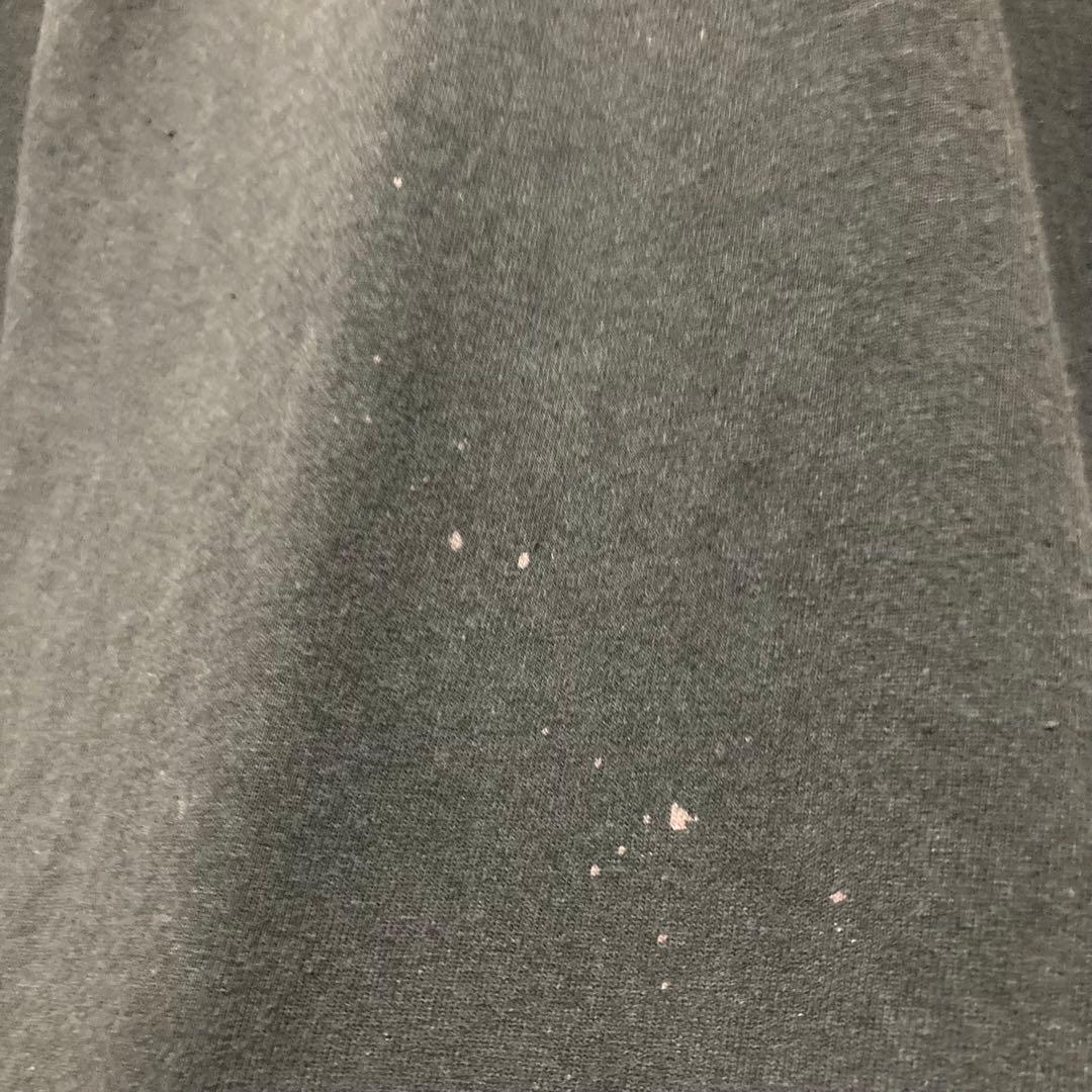 希少 HARLEY DAVIDSON ロンT ハーレーダビッドソン flame