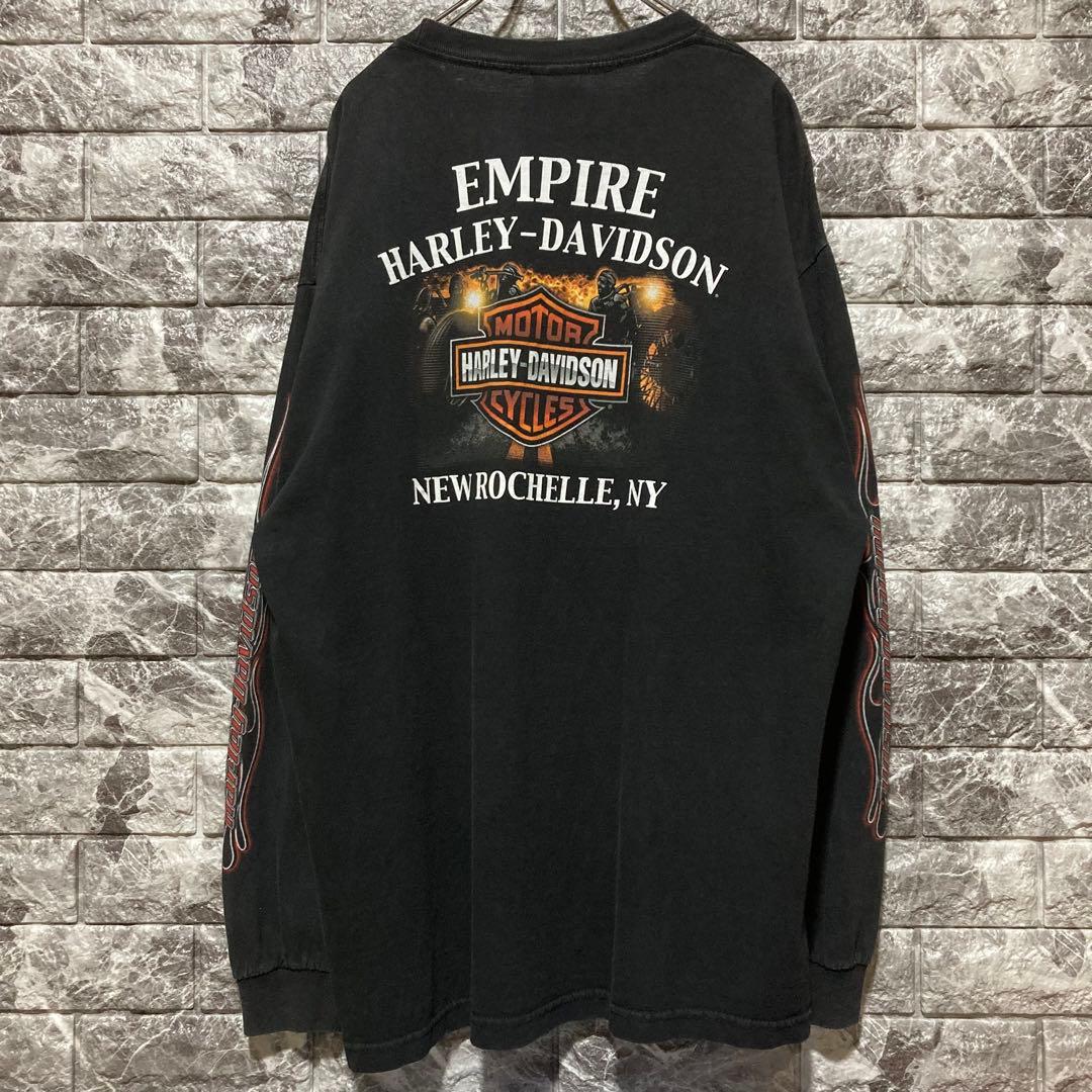 希少 HARLEY DAVIDSON ロンT ハーレーダビッドソン flame