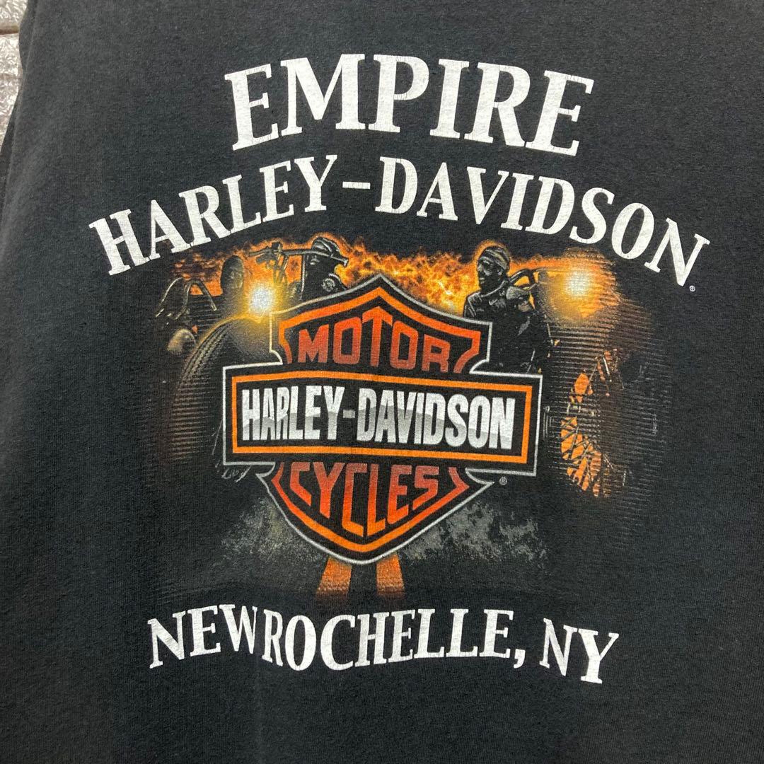 希少 HARLEY DAVIDSON ロンT ハーレーダビッドソン flame